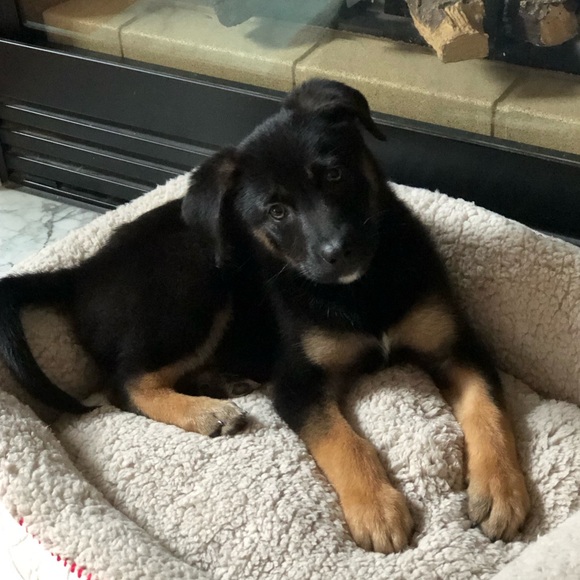 Meet your Posher, Colleen - Picture 3 of 3